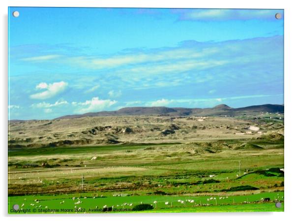 Sligo field with sheep Acrylic by Stephanie Moore
