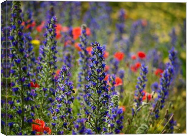 Wildflowers Canvas Print by Victor Burnside