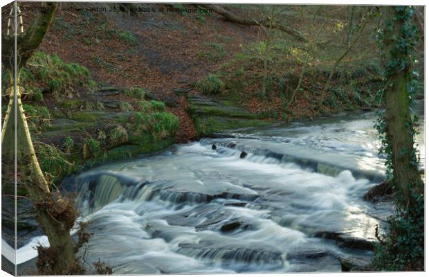 Clear waters Canvas Print by andrew saxton