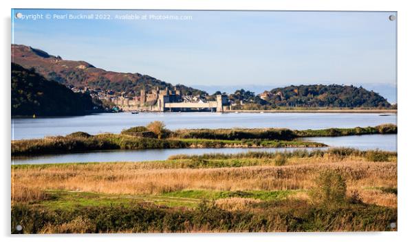 Conwy River Estuary and RSPB Nature Reserve Wales Acrylic by Pearl Bucknall