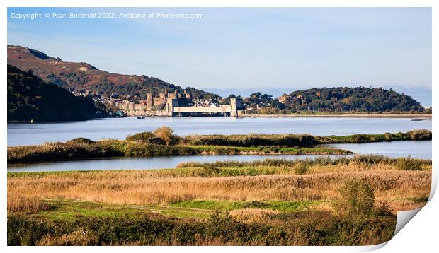 Conwy River Estuary and RSPB Nature Reserve Wales Print by Pearl Bucknall