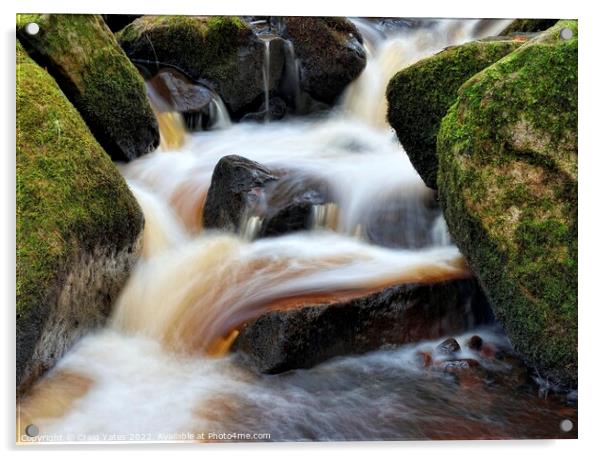 Wyming Brook Nature Reserve Waterfall Acrylic by Craig Yates