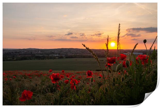 Poppy Field Summer Sunset Print by J Biggadike