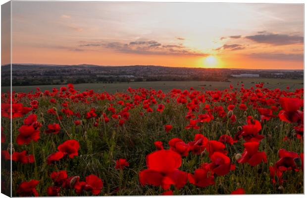 Poppy Field Summer Sunset Canvas Print by J Biggadike