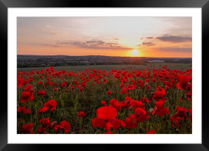 Poppy Field Summer Sunset Framed Mounted Print by J Biggadike