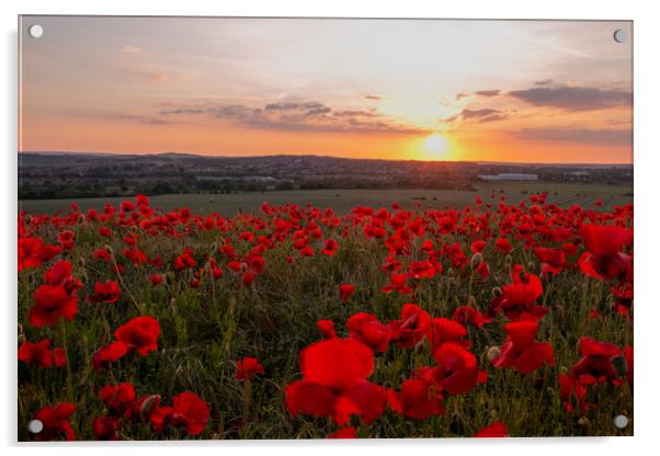 Poppy Field Summer Sunset Acrylic by J Biggadike