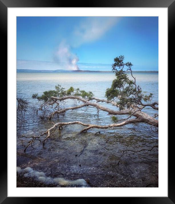 Lake Weyba Noosaville Sunshine Coast Queensland Au Framed Mounted Print by Julie Gresty