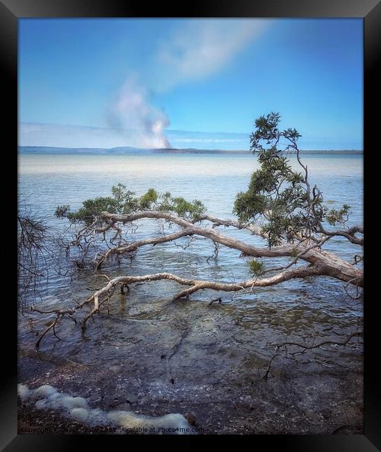 Lake Weyba Noosaville Sunshine Coast Queensland Au Framed Print by Julie Gresty