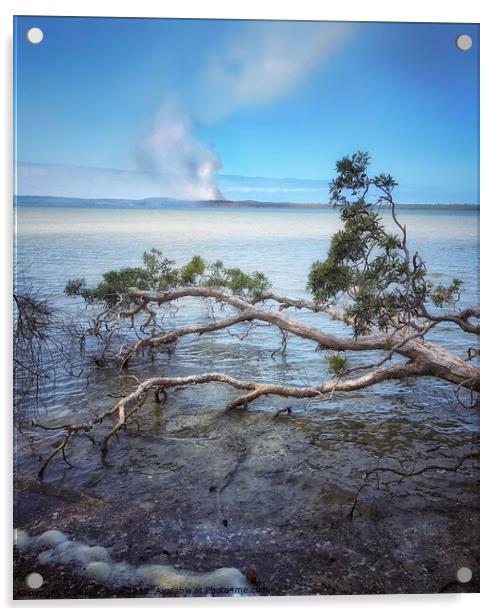 Lake Weyba Noosaville Sunshine Coast Queensland Au Acrylic by Julie Gresty