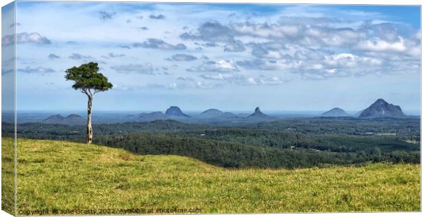 Glass House Mountains Maleny Lone Tree Hill Canvas Print by Julie Gresty