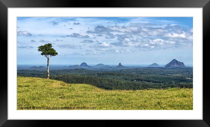 Glass House Mountains Maleny Lone Tree Hill Framed Mounted Print by Julie Gresty