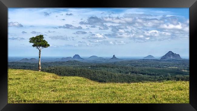 Glass House Mountains Maleny Lone Tree Hill Framed Print by Julie Gresty