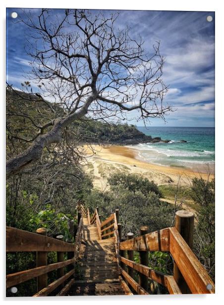 Sunshine Beach Sunshine Coast Queensland  Acrylic by Julie Gresty