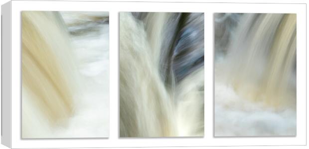 Triptych Cascade Canvas Print by Anthony McGeever