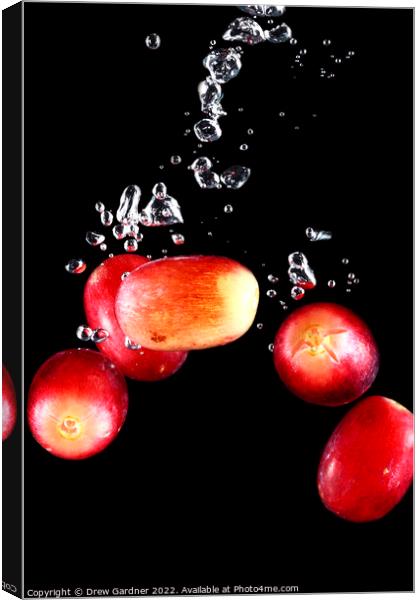 Splashing Grapes Canvas Print by Drew Gardner