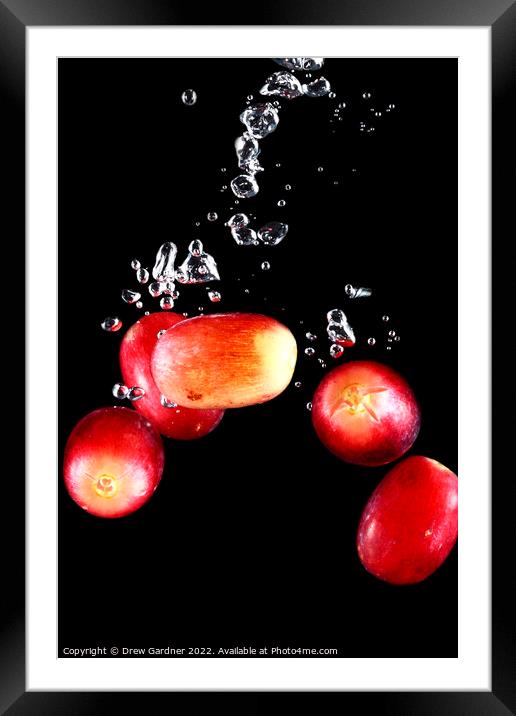 Splashing Grapes Framed Mounted Print by Drew Gardner
