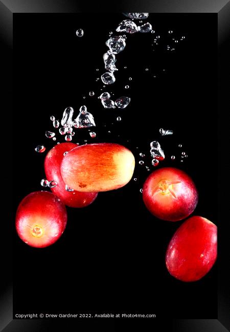 Splashing Grapes Framed Print by Drew Gardner