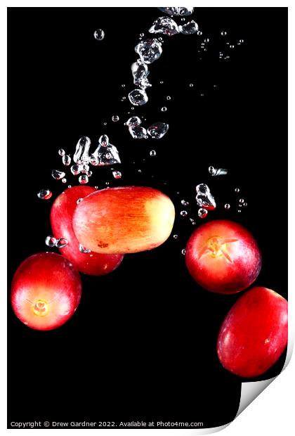 Splashing Grapes Print by Drew Gardner