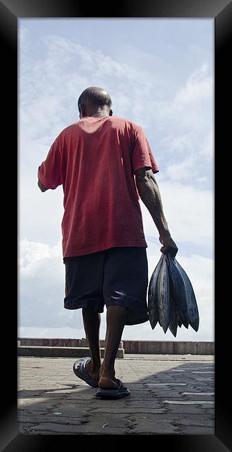 fisherman Framed Print by Hassan Najmy
