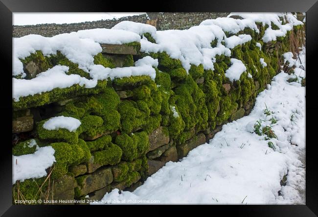 Moss covered dry stone wall in Yorkshire Dales National Park Framed Print by Louise Heusinkveld