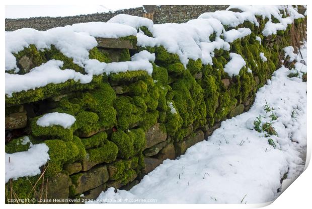 Moss covered dry stone wall in Yorkshire Dales National Park Print by Louise Heusinkveld