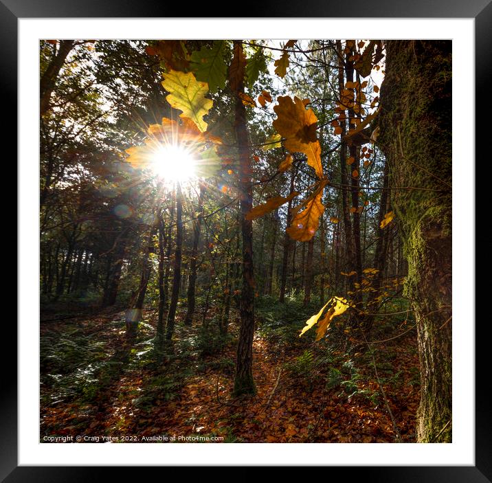 Woodland Sunrise Framed Mounted Print by Craig Yates