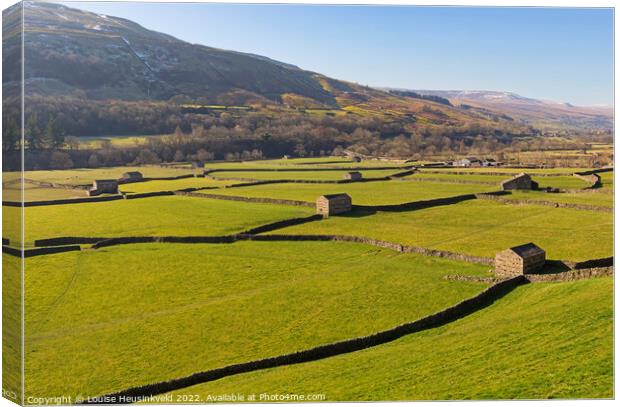 Iconic stone barns and dry stone walls of Swaledale Canvas Print by Louise Heusinkveld