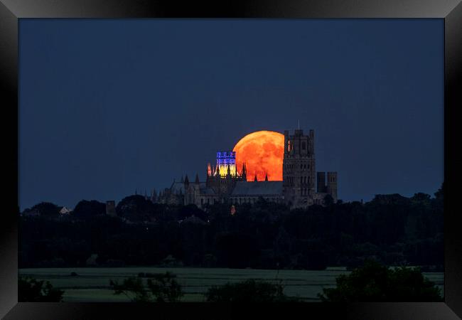 Strawberry Moon rising behind Ely Cathedral, 14th June 2022 Framed Print by Andrew Sharpe