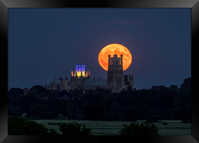 Strawberry Moon rising behind Ely Cathedral, 14th June 2022 Framed Print by Andrew Sharpe