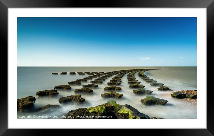 Cobbolds Point Framed Mounted Print by DiFigiano Photography