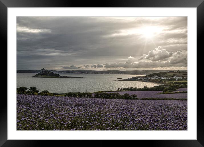 St Michaels mount Marazion Phacelia, fields Framed Mounted Print by kathy white