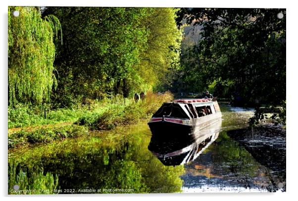 Birdswood Canal Boat Cromford Canal Derbyshire Acrylic by Craig Yates