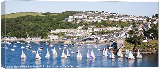View of Polruan from Fowey Canvas Print by Andrew Berry