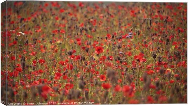 Poppy field Canvas Print by Simon Johnson