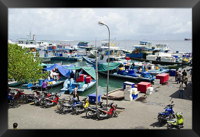 busy harbor of Male' Maldives Framed Print by Hassan Najmy