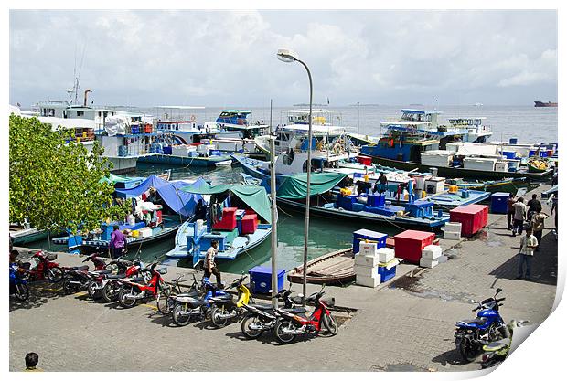 busy harbor of Male' Maldives Print by Hassan Najmy