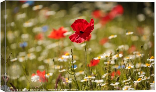 Poppy in the breeze Canvas Print by Simon Johnson