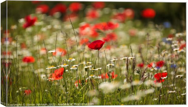 Poppy field Canvas Print by Simon Johnson