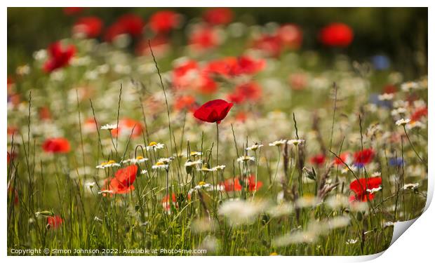 Poppy field Print by Simon Johnson