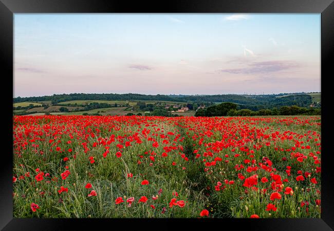 South Yorkshire Poppy Landscape Framed Print by J Biggadike