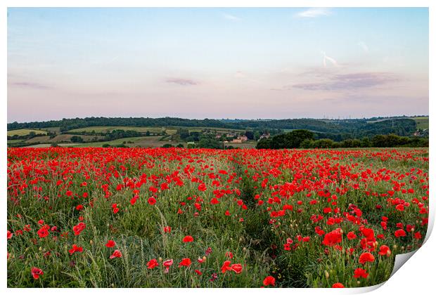 South Yorkshire Poppy Landscape Print by J Biggadike
