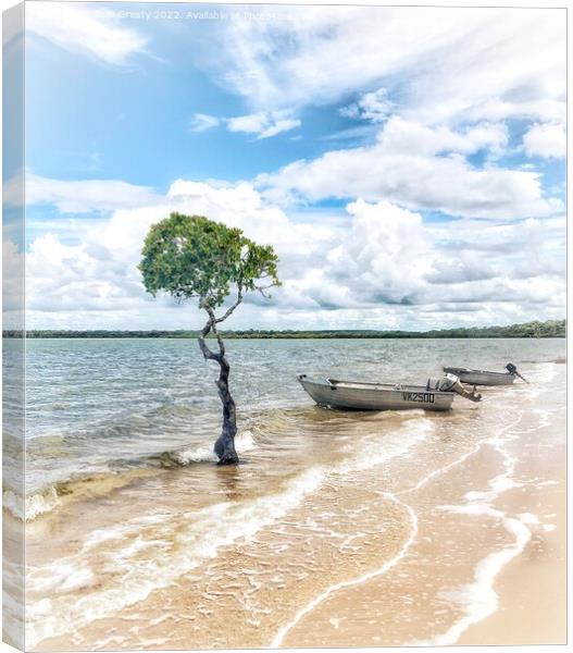 Lone Mangrove Tree and Boats on Beach Qld Canvas Print by Julie Gresty