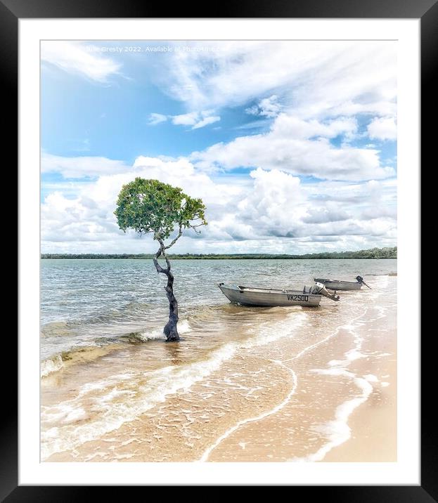 Lone Mangrove Tree and Boats on Beach Qld Framed Mounted Print by Julie Gresty