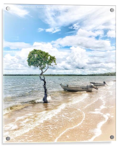 Lone Mangrove Tree and Boats on Beach Qld Acrylic by Julie Gresty