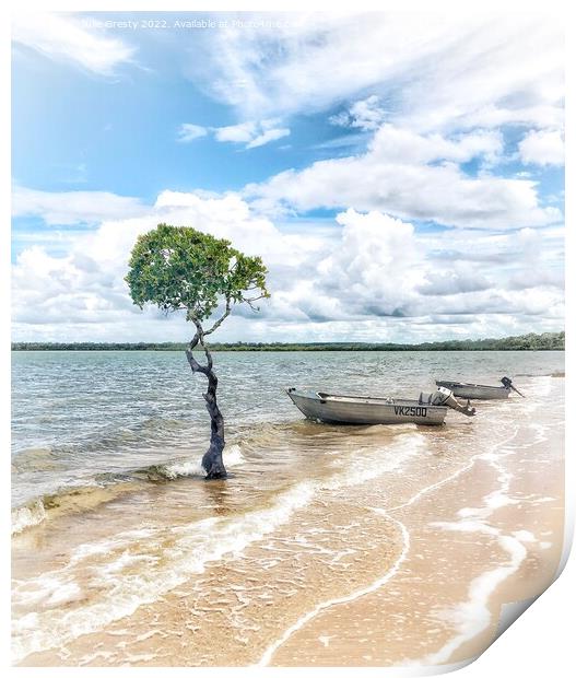 Lone Mangrove Tree and Boats on Beach Qld Print by Julie Gresty