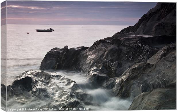 Rushing Tide Canvas Print by Andrew Berry