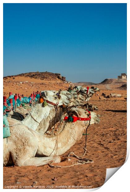Camels in Egypt Print by Vassos Kyriacou