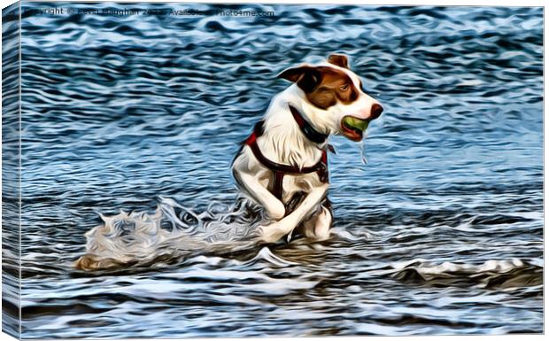 Fetch The Ball (Digital Art Version) Canvas Print by Kevin Maughan