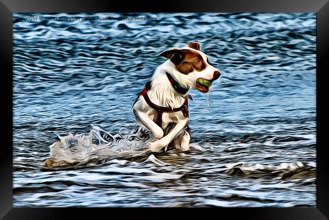Fetch The Ball (Digital Art Version) Framed Print by Kevin Maughan