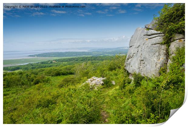 Warton Quarry near Silverdale in North Lancashire Print by Peter Stuart